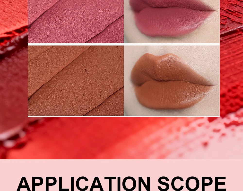OEM-private-label-formulation-lip-mud03 OEM-private-label-formulation-lip-mud03